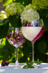Panna cotta Italian traditional dessert with cherries. Portion dessert in wine glass on green leaves background. 