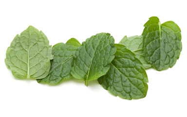 Peppermint herb isolated on white background cutout. Mint leaves. © Natika
