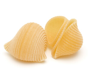 Italian lumaconi isolated on white background. Lumache, snailshell shaped pasta.