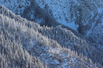 Tatry zimą, góry zimą, ośnieżone szczyty © Monika
