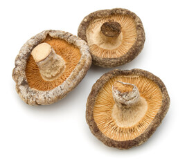 Dried Shiitake Mushroom isolated on white background