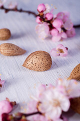 Almond nuts in the shell with a blossoming flower on a rustic white wooden background.