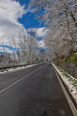 Strada con alberi innevati