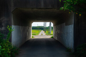 人が居ない暗いトンネルの写真。危険な道。