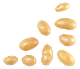 Potato isolated on white background with copy space for your text. Top view. Flat lay pattern. Potatoes in air, without shadow.