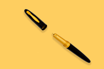 Business fountain pen isolated on yellow background.