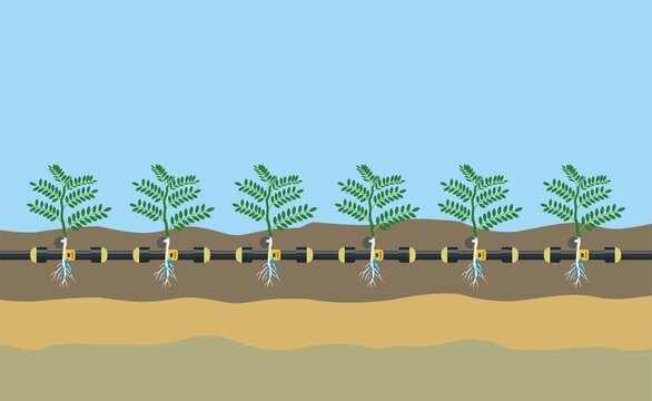 Underground or in ground drip irrigation system. Automatic sprinklers system. Vector illustration flat design. Smart farming application concept. Saving water and time.  Plant irrigation