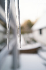 Fototapeta na wymiar Two large icicles hanging down. A snow covered out building and garden can be seen in soft focus in the background