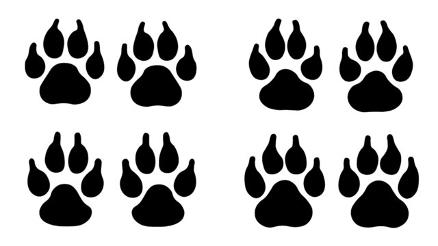 A set of 4 pairs of different shaped paw prints.