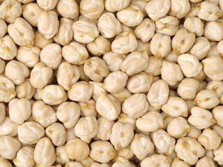  chickpeas on a white background 