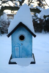 Snow-covered blue bird house in winter, Germany