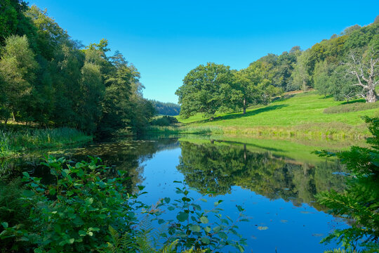 Tranquil View Of The Lake With Trees And Greenery Under A Clear Blue S