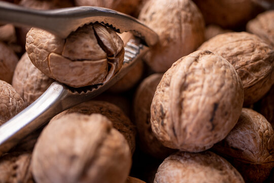 walnuts in shell, walnut hock, cracked walnuts, close-up.