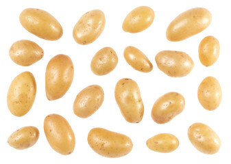 Potatoes isolated on white background. Top view. Flat lay pattern. Potatoes in air, without shadow.