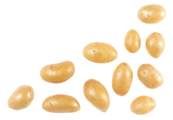 Potato isolated on white background with copy space for your text. Top view. Flat lay pattern. Potatoes in air, without shadow.