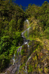 Beautiful landscape of stream in forest