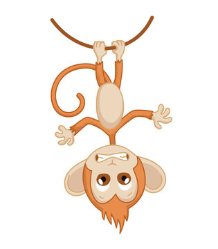 Cute funny monkey colorful cartoon illustration. Vector little chimpanzee. Wildlife character