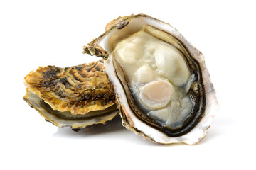 Naklejka premium Fresh opened oyster on white background