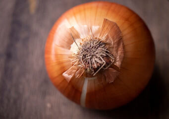 onion on wooden background