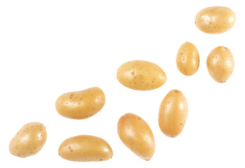 Potato isolated on white background with copy space for your text. Top view. Flat lay pattern. Potatoes in air, without shadow.