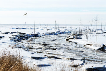 Winter mit Eisschollen an der Nordseeküste in der Nähe von Cuxhaven, Deutschland - 414799904