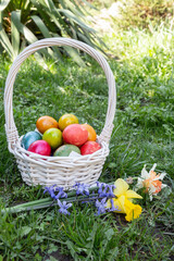 Easter eggs in nature with flowers - white basket