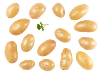 Potatoes and parsley isolated on white background. Top view. Flat lay pattern. Potatoes in air, without shadow.