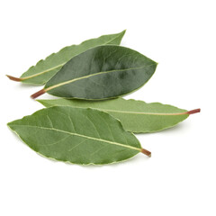 Obraz premium Aromatic bay leaves