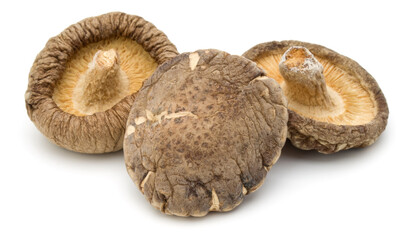 Dried Shiitake Mushroom isolated on white background