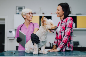 Middle aged woman with her dog at veterinarian.