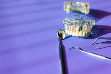 Mirror and other tools of a dentist next to a plastic model of a denture.
