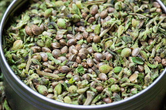 Marijuana seeds, Cannabis seeds