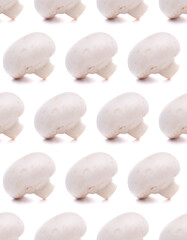 Champignon mushroom. Seamless food pattern.