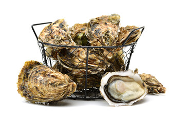 Fresh opened oyster on white background