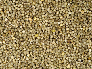 Millet Texture, Background