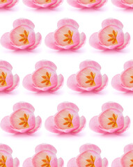 Pink tulip . Seamless pattern.