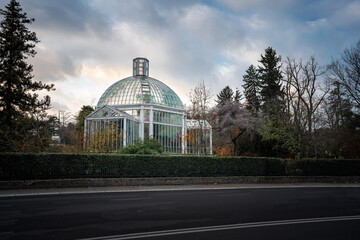 Fototapeta na wymiar Botanical Garden Greenhouse - Geneva, Switzerland