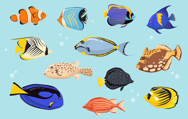 Colorful tropical fishes flat set for web design. Cartoon coral reef animals for aquarium isolated vector illustration collection. Underwater and marine life concept