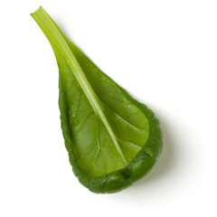 Spinach  leaf isolated on white background. Top view, flat lay.