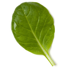Spinach salad leaf isolated on white background. Top view, flat lay.