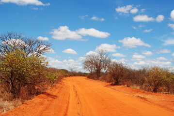 Savanne Wolken Sand Weg Steppe Afrika Kenia Landschaft Straße Nationalpark blauer Himmel