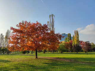 South Park in city of Sofia, Bulgaria