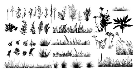The silhouette of the grass set. Vector illustration - obrazy, fototapety, plakaty