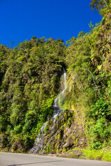 Fototapeta na wymiar Beautiful landscape of stream in forest