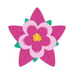 beautiful pink flower icon, colorful design
