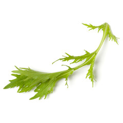 salad leaf isolated on white background. Top view, flat lay.