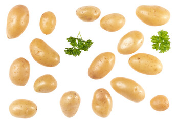 Potatoes and parsley isolated on white background. Top view. Flat lay pattern. Potatoes in air, without shadow.