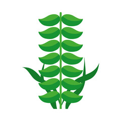 green leaves icon, colorful design