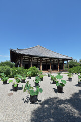 Obraz premium 元興寺 極楽坊本堂 奈良市