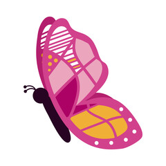 cute butterfly with colorful wings, colorful design